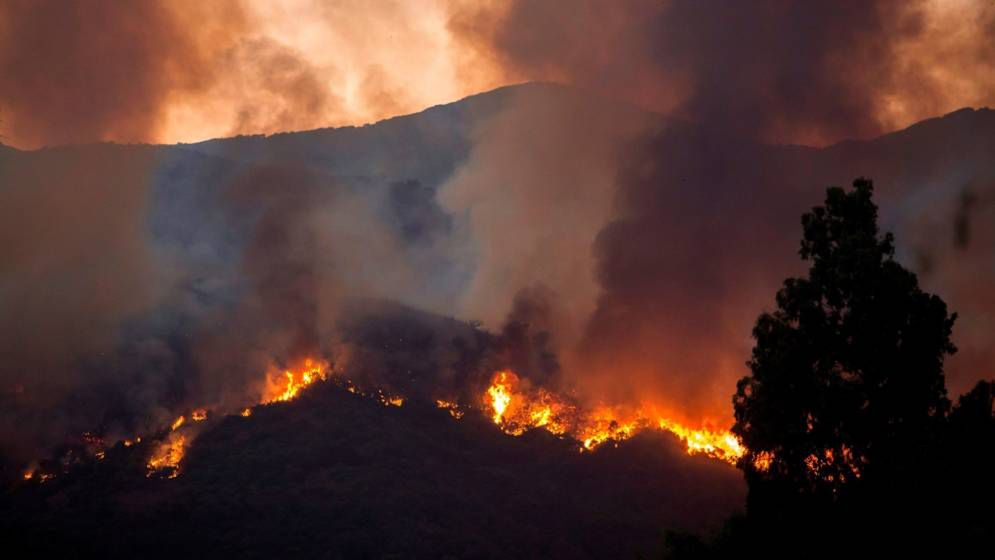 Kolejne miejsce w Hiszpanii płonie. Tym razem ogień trawi okolice Malagi