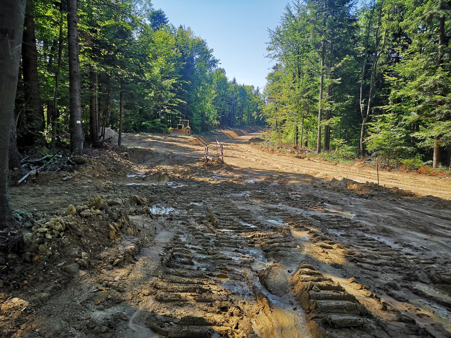 Pierwsze rozczarowanie – drogi, których nie było. Gdzieś nieopodal żółty szlak przecina czerwony szlak beskidzki, sierpień 2019 r. 