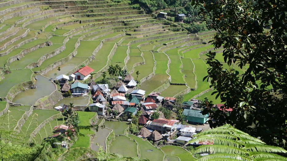 Banaue to miejsce, które zdecydowanie warto odwiedzić choć raz w życiu