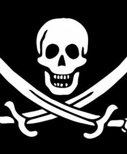 Walka z mangowym piractwem trwa