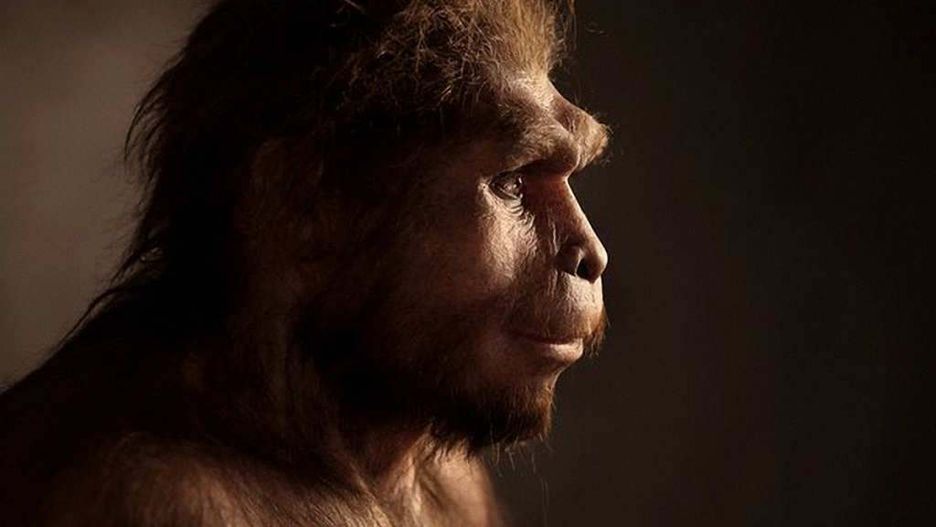 Naukowcy odkryli przyczynę wyginięcia Homo erectus
