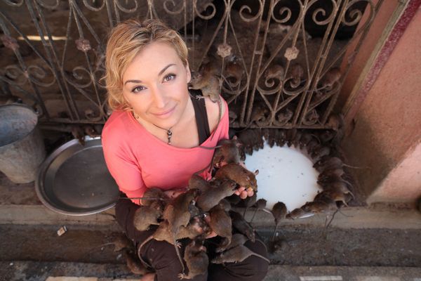 Martyna Wojciechowska: ekstremalne misje podróżniczki