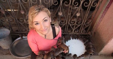 Martyna Wojciechowska: ekstremalne misje podróżniczki