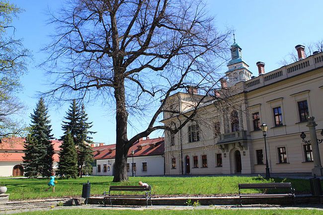 Obraz