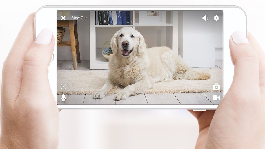 Petcube pozwoli twojemu psu zadzwonić do ciebie