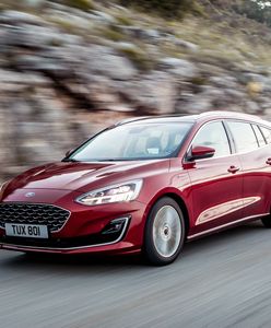 Titanium Business, ST-Line Business, Vignale - czym różnią się od siebie poziomy wyposażenia nowego Forda Focusa