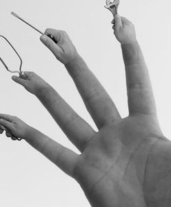 Fachowcy mogą spać spokojnie