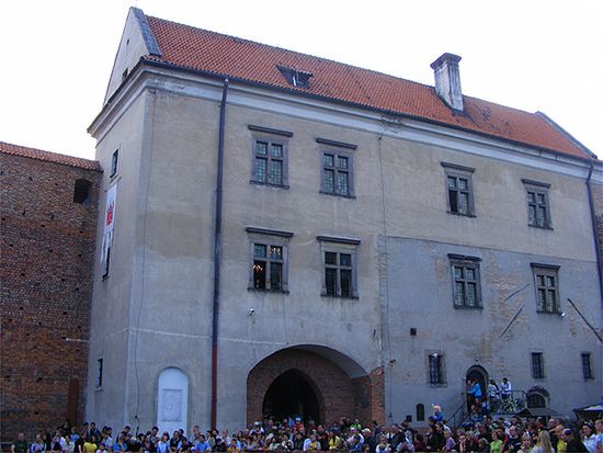 Obraz