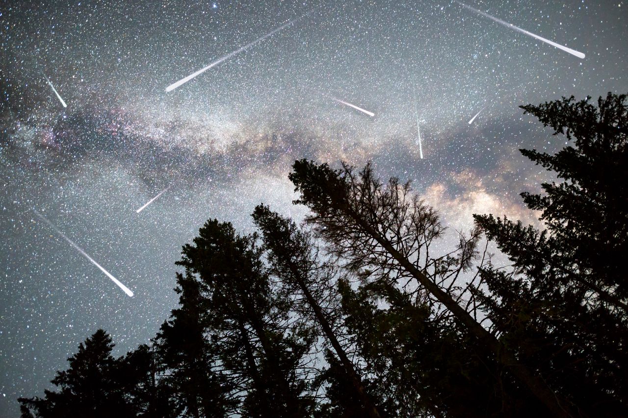 Leonidy 2019: rój meteorytów zobaczymy już w ten weekend
