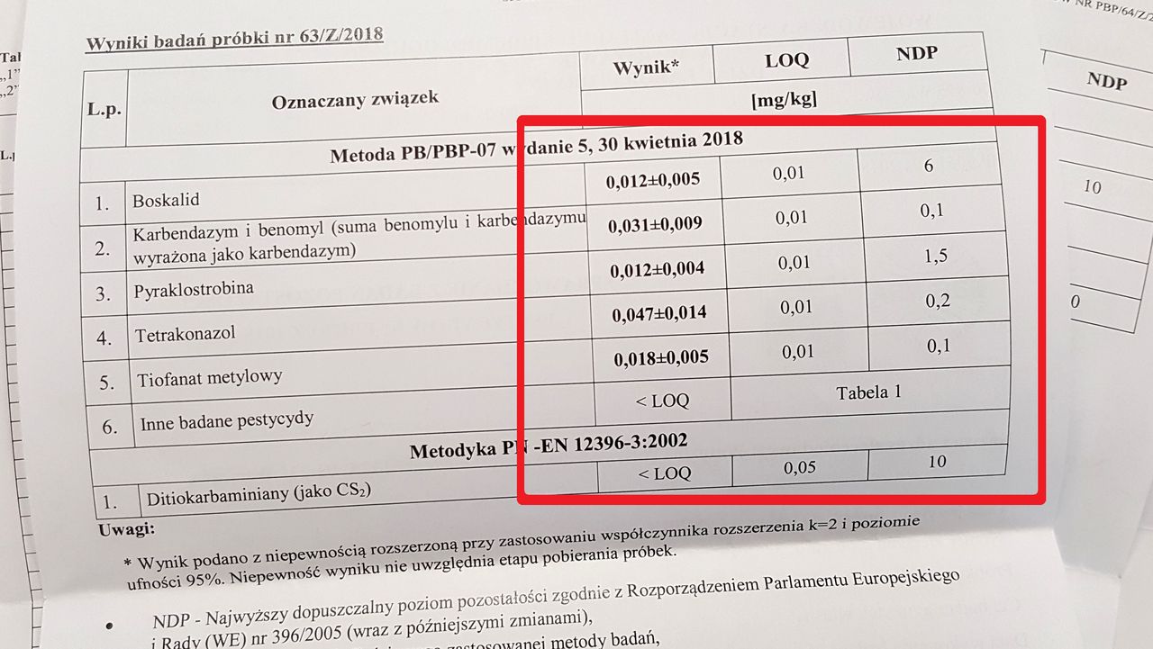 Sprawdziliśmy, czy w polskich truskawkach są pestycydy. Wyniki zaskakują