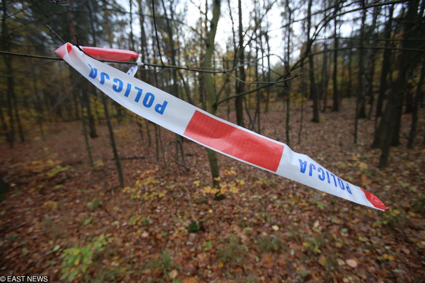 Potrącenie i samobójstwo. Podwójna tragedia na Kaszubach