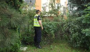 Nie ma mocnych na zemstę Stalina. UE może zmusić polski rząd, by zajął się barszczem Sosnowskiego