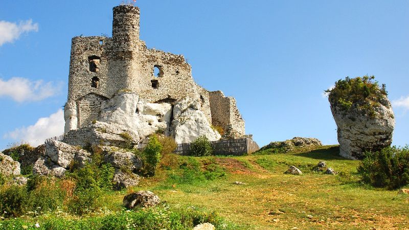 Obraz