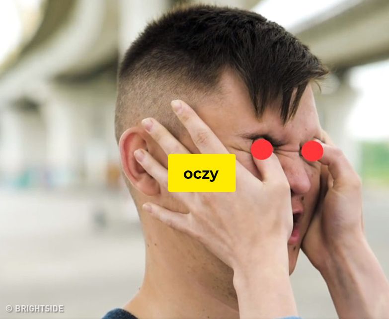 Obrazek