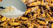 Ile kosztuje mąka ze świerszczy? Cena za kilogram jest ogromna