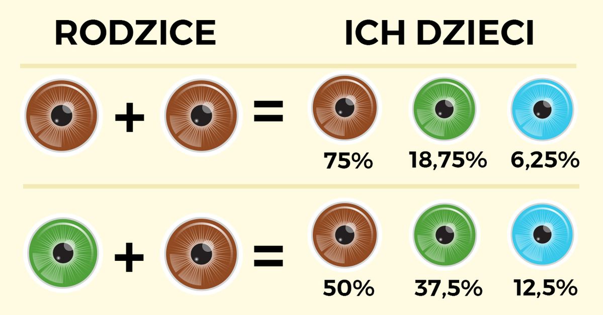 Szybki przewodnik jaki kolor oczu będą miały Wasze dzieci