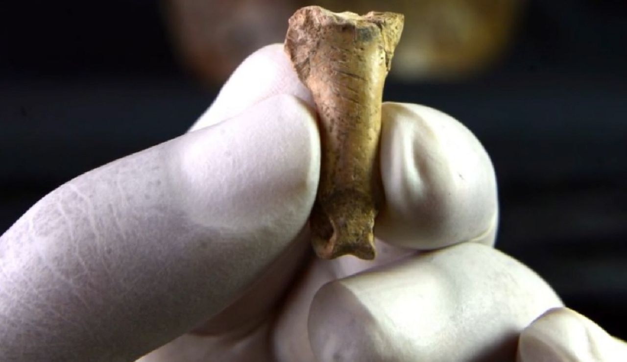 Archeolodzy zbadali kość orła. Może być częścią "ostatniego naszyjnika neandertalczyków"