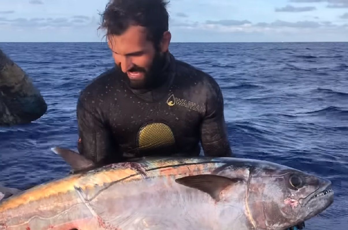 Rybak stoczył walkę z rekinem o tuńczyka. Nagranie hitem w sieci