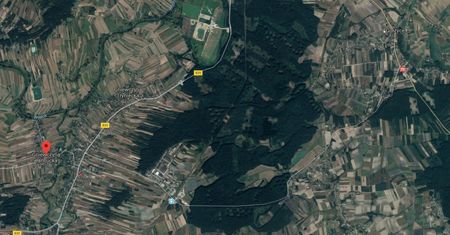 Gniewczyna Łańcucka na Podkarpaciu. W tajemniczym lesie po kolei giną mieszkańcy wsi