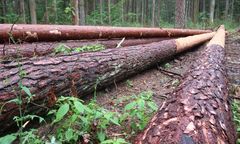 Szymański: Intencją Polski nigdy nie było niewykonywanie postanowień Trybunału