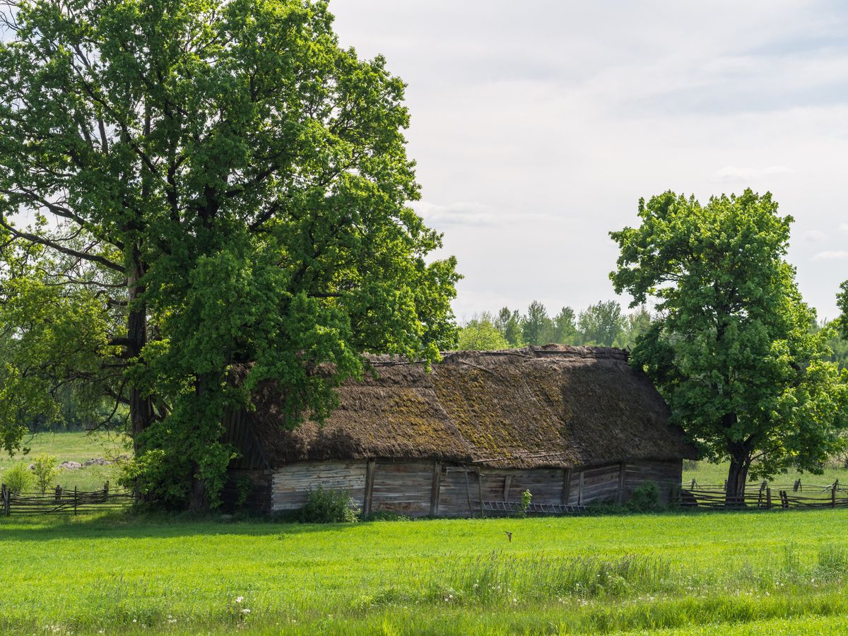 Kierunek przygoda: Przez ostępy Puszczy Knyszyńskiej