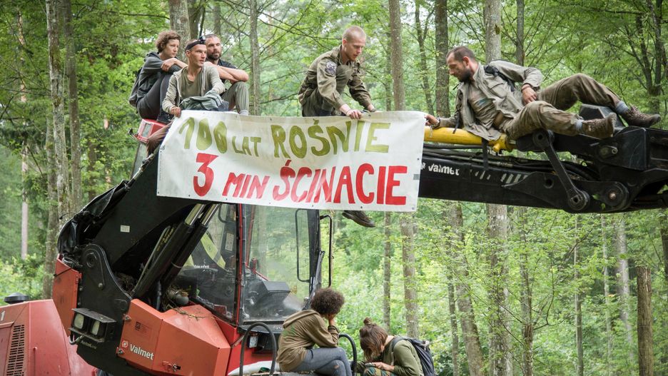 Blokada przeprowadzona w 2017 roku w Puszczy Białowieskiej.
