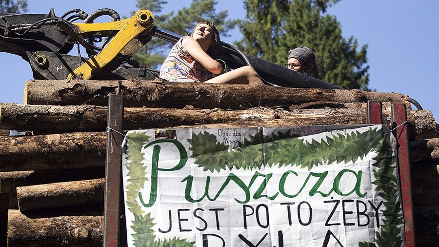 Blokada wywozu drewna w Puszczy Białowieskiej