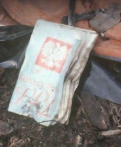 Największa katastrofa lotnicza w historii Polski. 30 lat temu w Lesie Kabackim rozbił się "Tadeusz Kościuszko"