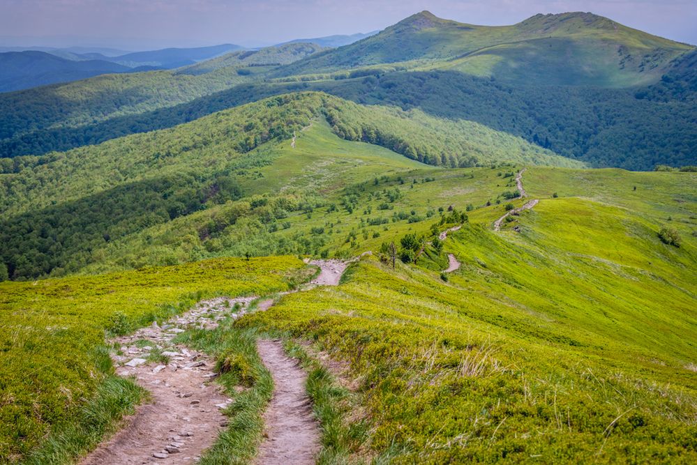 Znad morza w Bieszczady. Nowości i zmiany w wakacyjnym rozkładzie PKP