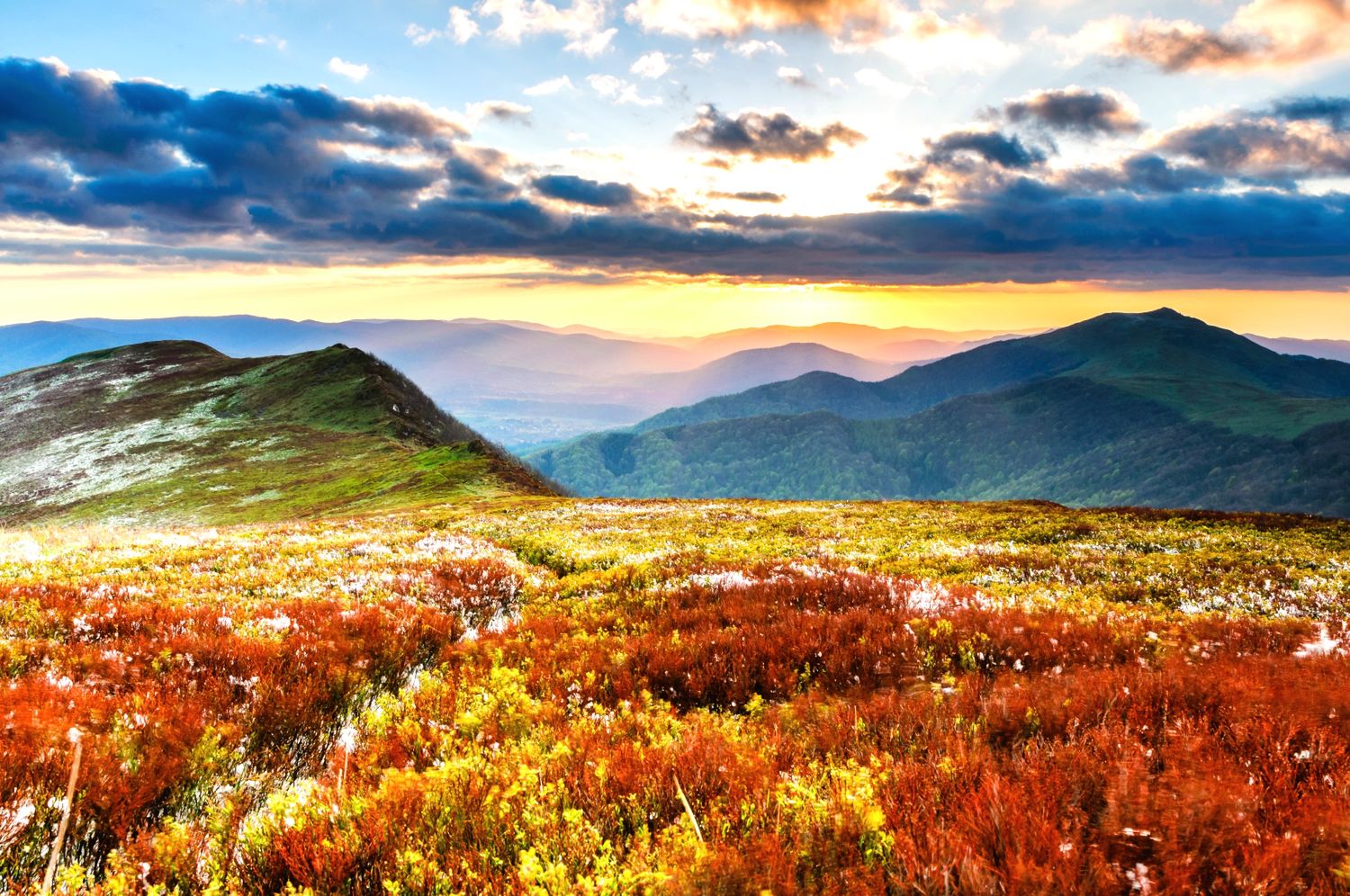 Bieszczady to bezkresne połacie roślinności, dzika zwierzyna, małe jeziorka, skanseny i pomniki historii