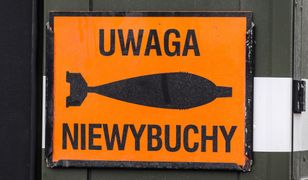 Lubuskie: niewybuchy na terenie szkoły