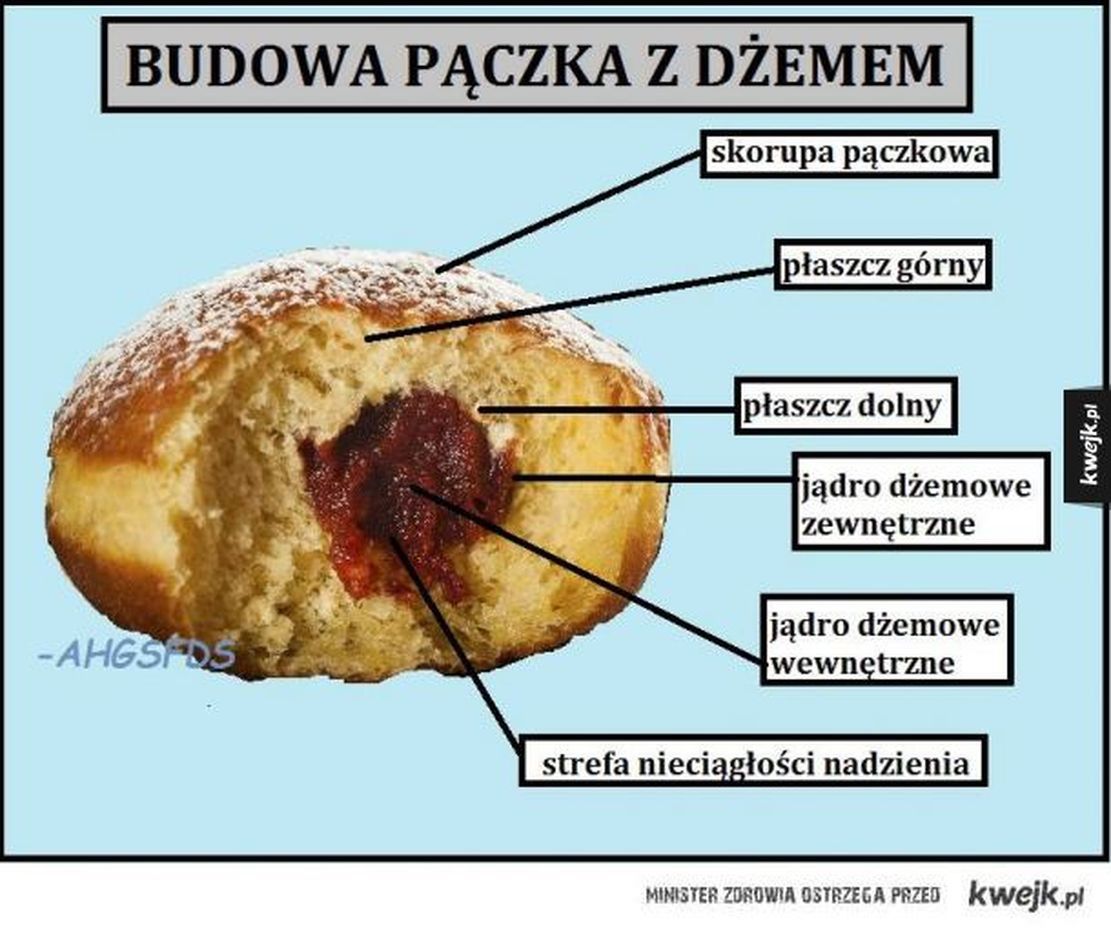 Naukowe podejście do pączków