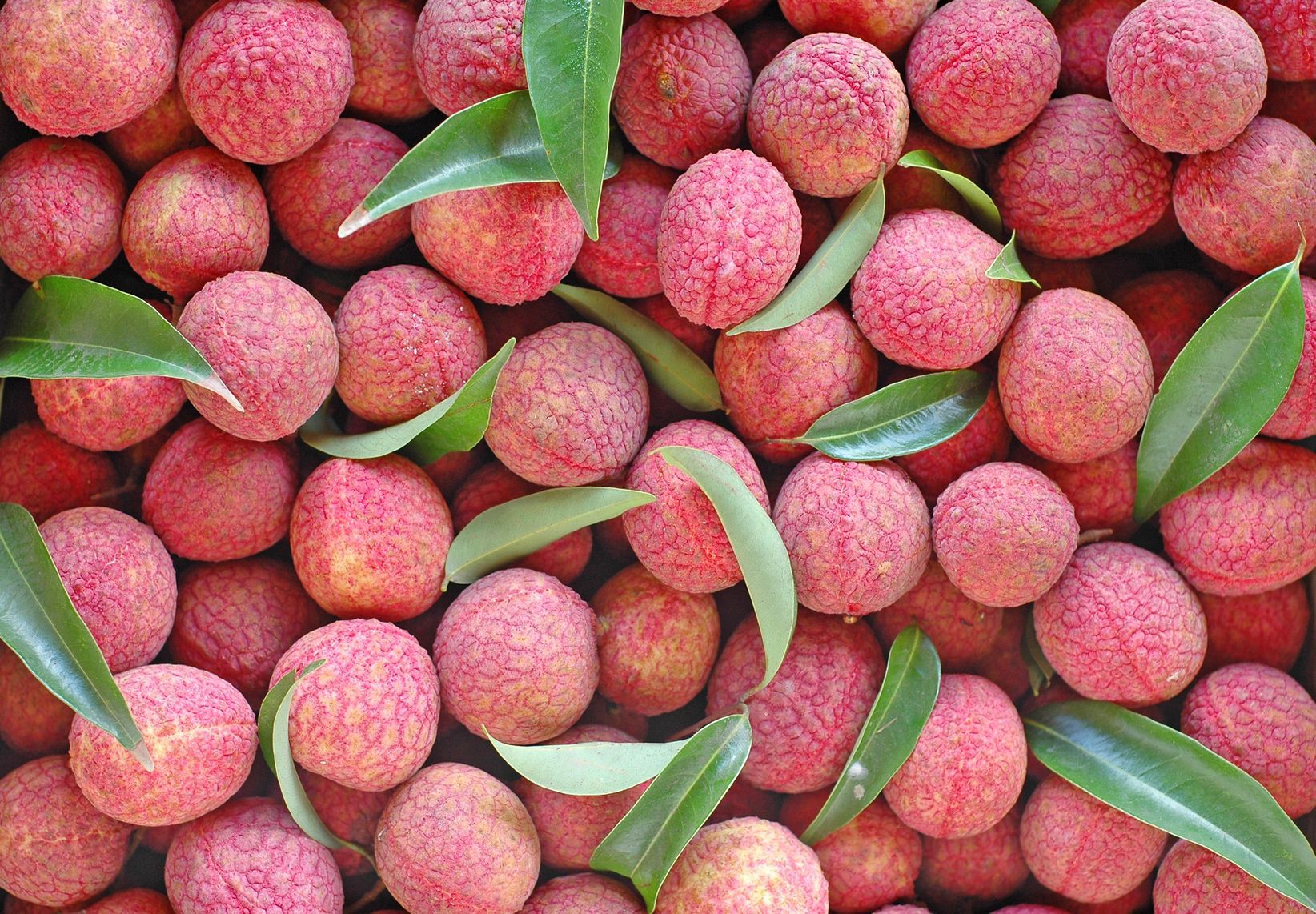 Liczi 