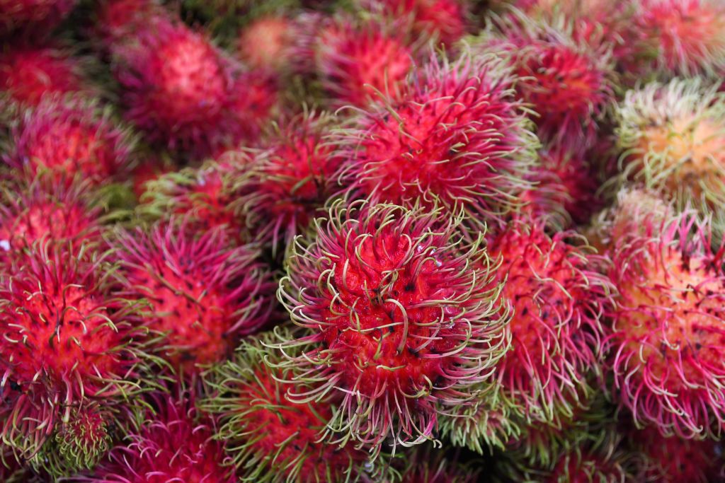 A stand with Lychee fruits for sale in Ayutthaya market.On Saturday, June 09, 2018, in Ayutthaya, Ayutthaya Province, Thailand. (Photo by Artur Widak/NurPhoto)