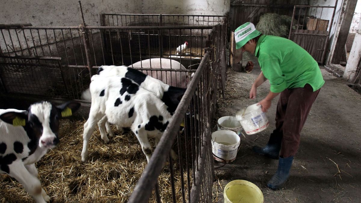 Panie, które sięgną po świadczenie nie z ZUS, a z KRUS, znacznie na tym skorzystają.