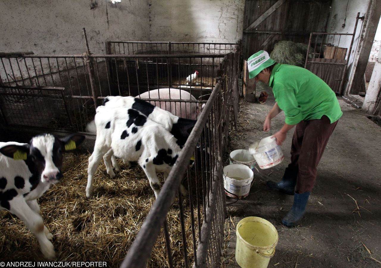 Mama 4+. Po matczyną emeryturę lepiej zgłosić się do KRUS