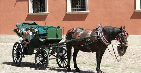 Inowrocław: pijany woźnica woził turystów. Pokazywał im miasto