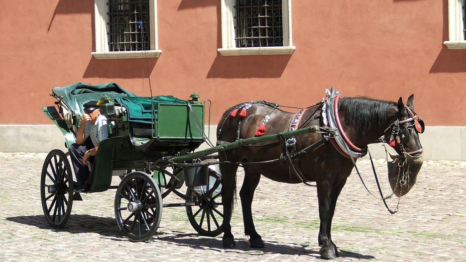 Mężczyzna zajmuje się turystycznym przewozem osób