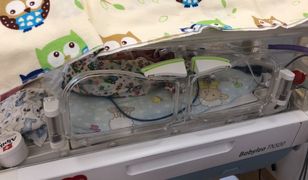 Narodziny sześcioraczków. Kraków wynajął rodzicom mieszkanie