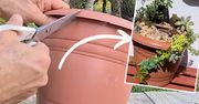 W kilka minut zmienił starą plastikową doniczkę w śliczną ozdobę