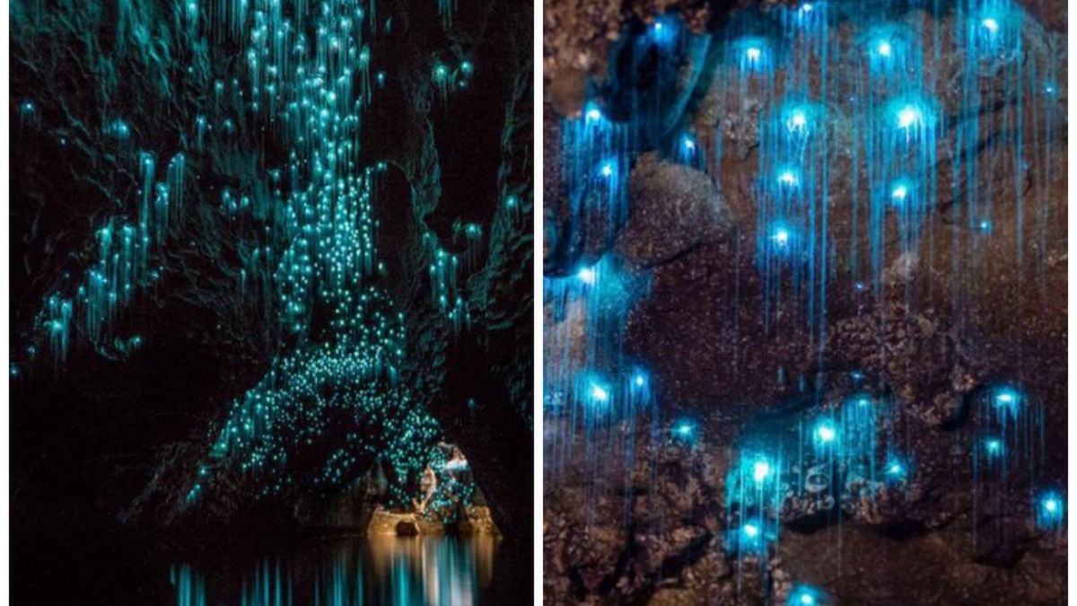 Jedyne takie miejsce na świecie