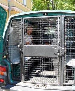 Kibole z Krakowa przemycali imigrantów z Syrii. Grupa przestępcza rozbita