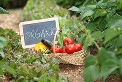 7 organicznych produktów, które warto mieć w kuchni