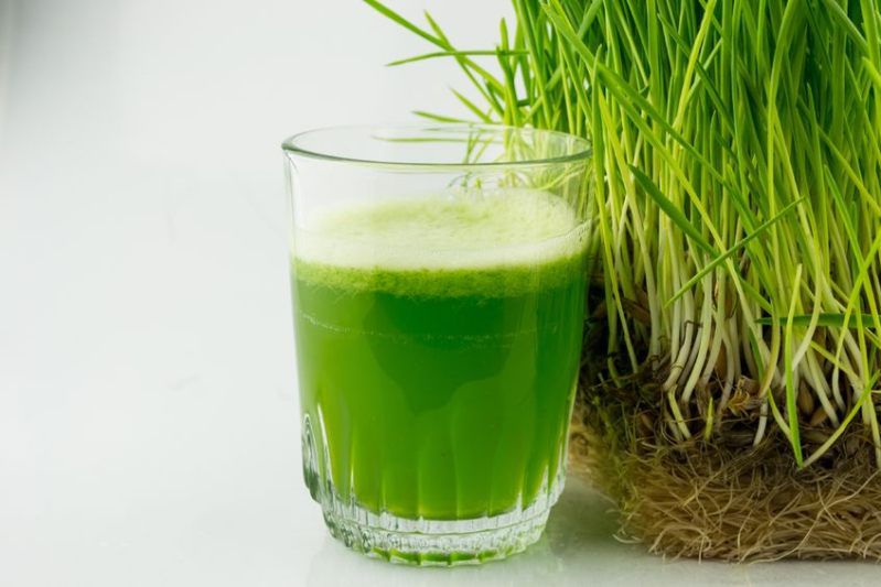 Warto spróbować: sok z trawy pszenicznej