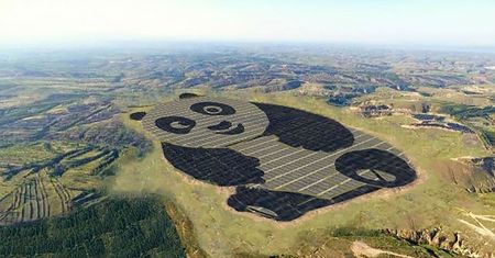 "Elektrownia Panda". Chińczycy w niezwykły sposób uczcili ulubione zwierzę