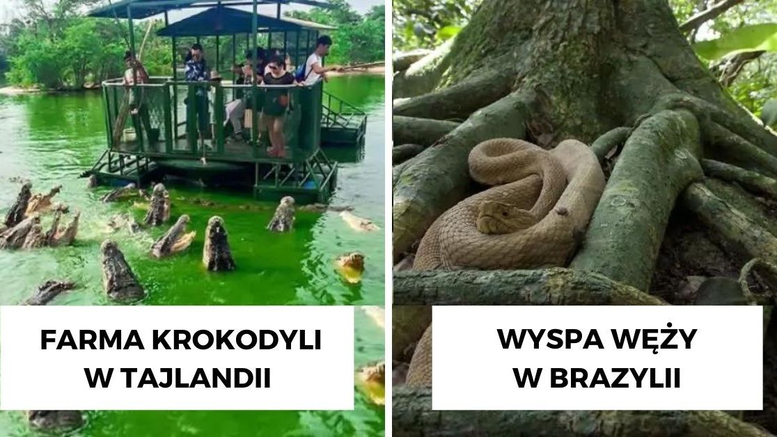 Obrazek