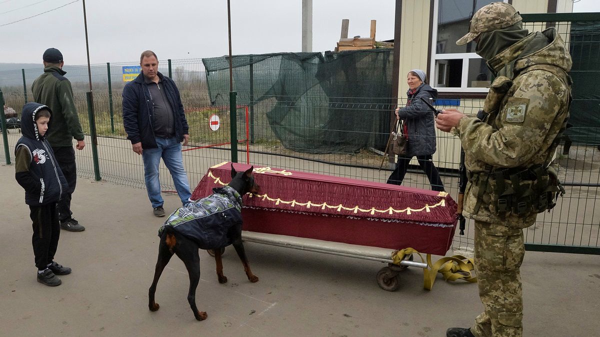 Pies tropiący kontroluje trumnę ze zmarłym na granicy Ukrainy z terenami okupowanymi przez separatystów.