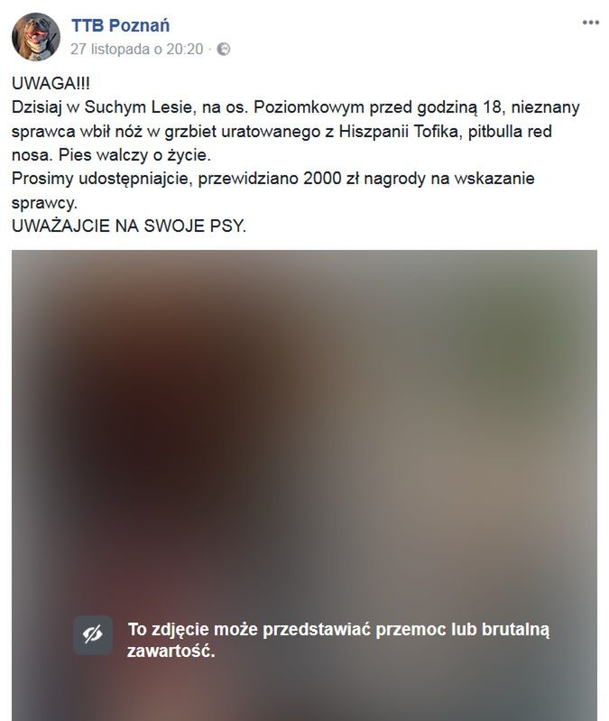 Organizacja wyznaczyła nagrodę za pomoc w schwytaniu sprawcy. 