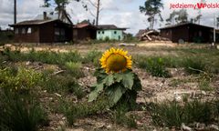 Rok po nawałnicy: pomóżmy spełnić marzenie. O Wigilii we własnym domu