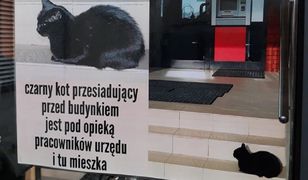 Wieloletnia mieszkanka urzędu w Piasecznie pod specjalnym nadzorem